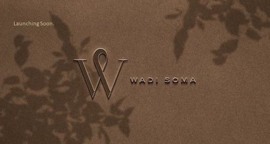 Wadi Soma / Сома Бэй
